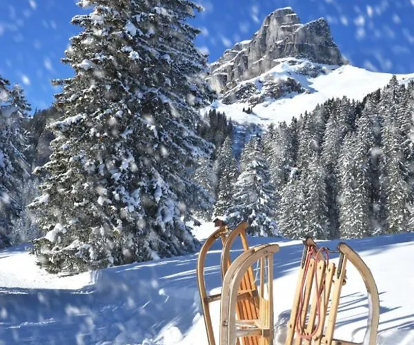 公寓 Allod Park Haus C U04 By Interhome 达沃斯